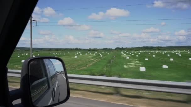 Pacas redondas con ensilaje envueltas en película de plástico blanco en el campo agrícola — Vídeo de stock