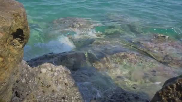 Vagues de mer transparentes tourbillonnent par la plage avec de grands rochers — Video