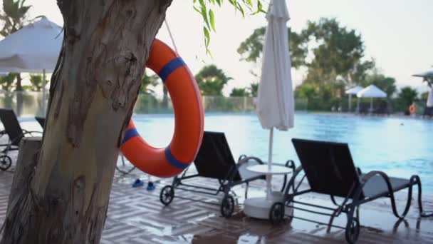 Sauveteur bleu orangé accroché à une corde sur un tronc d'arbre brun — Video