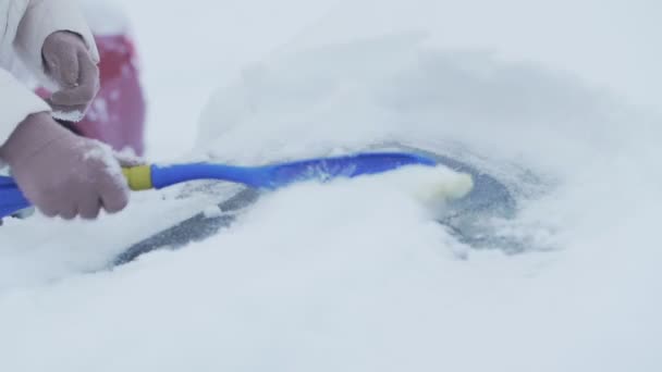 Professionella förarhänder torka snö från bilvindrutan — Stockvideo