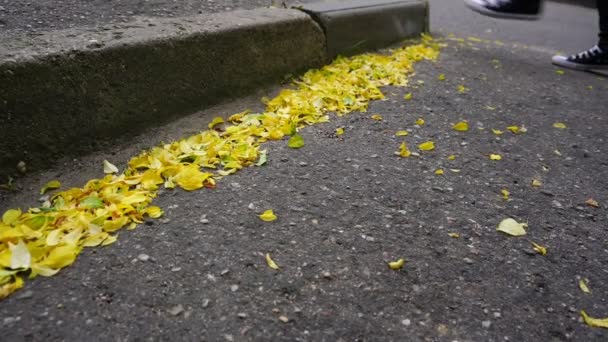 Caídas hojas amarillas de otoño que yacen en el camino de asfalto y personas pies fondo — Vídeo de stock