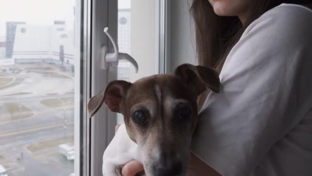 Εφηβική κοπέλα με το σκυλί στα χέρια στέκεται κοντά στο παράθυρο του υπνοδωματίου — Αρχείο Βίντεο