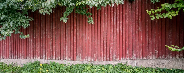 Piros fából készült kerítés a kertben és fák zöld buja lombozat — Stock Fotó