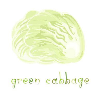 Yeşil lahana illüstrasyon