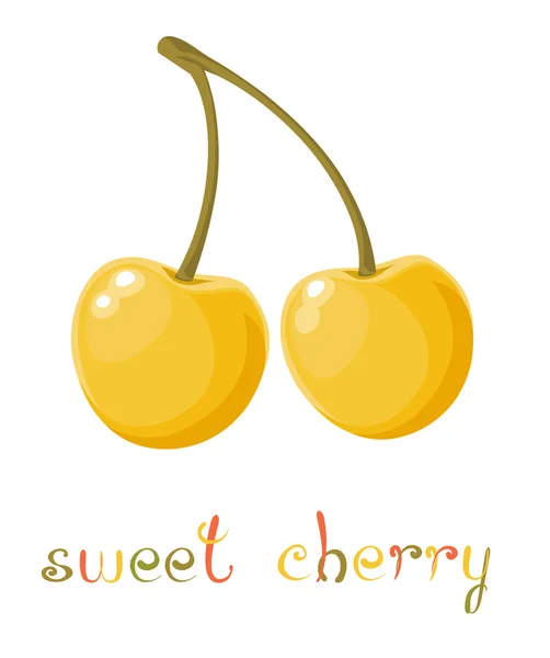 Yellow Sweet Cherry — Stock Vector