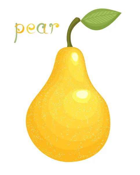 Ripe Pear — Stock Vector