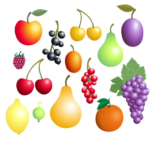 Sammlung von Früchten und Beeren — Stockvektor
