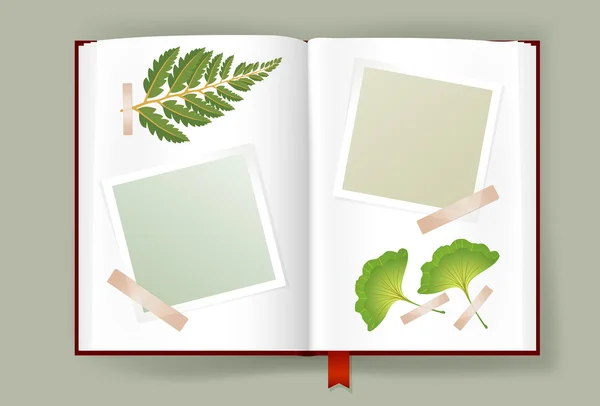 Opened Album With Blank Photo Frames And Dried Leaves — Stock Vector