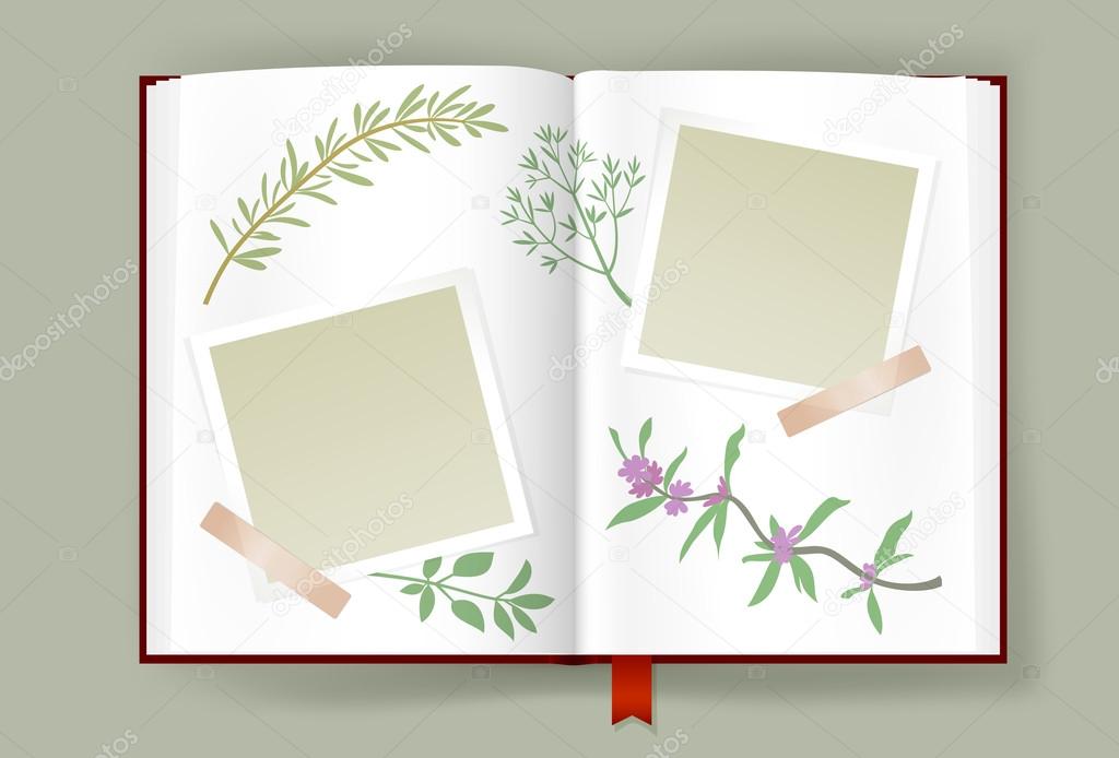 Opened Album With Blank Photo Frames And Aromatic Herbs