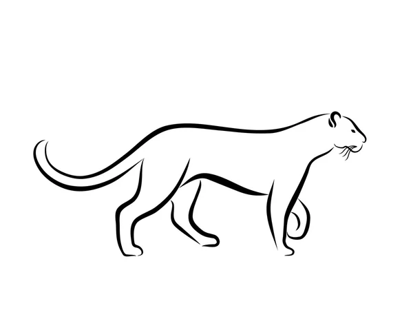 Grace Panther Ink Line Art — Stock Vector