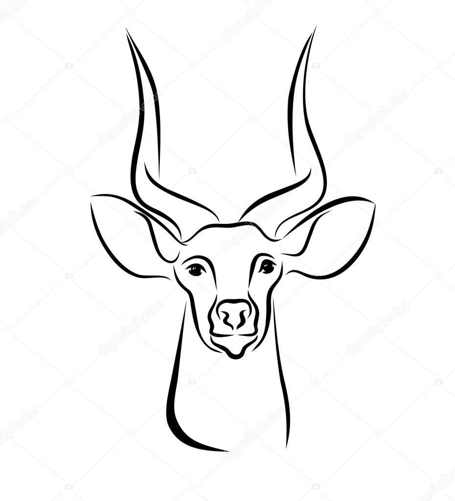 Black and white illustration with head of antelope with cute long horns. Hand drawn sketch. Ink painting. Design element useful for logo. Vector file is EPS8.