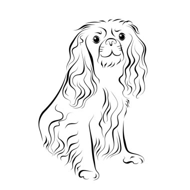 İspanyol mürekkep Hat sanatı