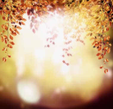 sonbahar arka plan kırmızı yaprakları ile