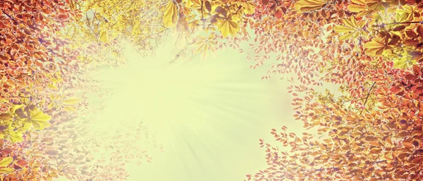 Autumn  foliage on sunny sky — Stock Photo, Image