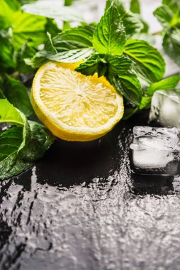 Limon, nane ve buz küpleri