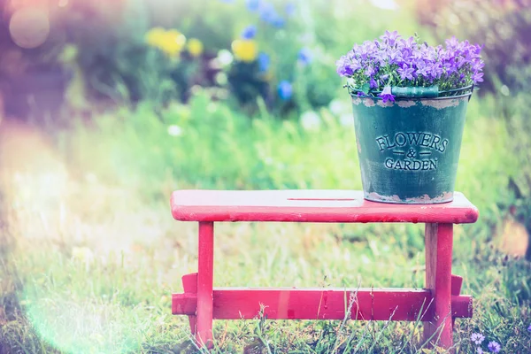 Vintage kbelík s zahradní květiny — Stock fotografie