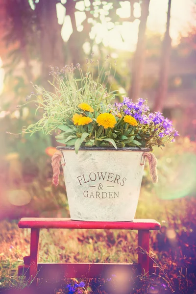 Old green bucket with flowers