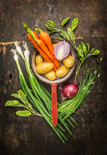 Vegetais de jardim ingredientes — Fotografia de Stock