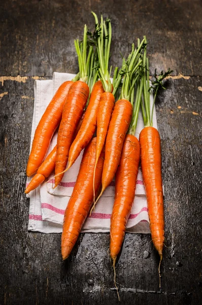 Νέα δέσμη καρότα — Φωτογραφία Αρχείου