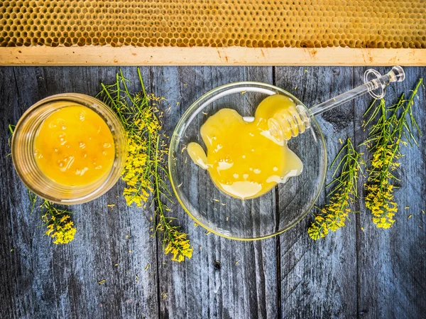 Miele di colza con piante fresche in fiore — Foto Stock