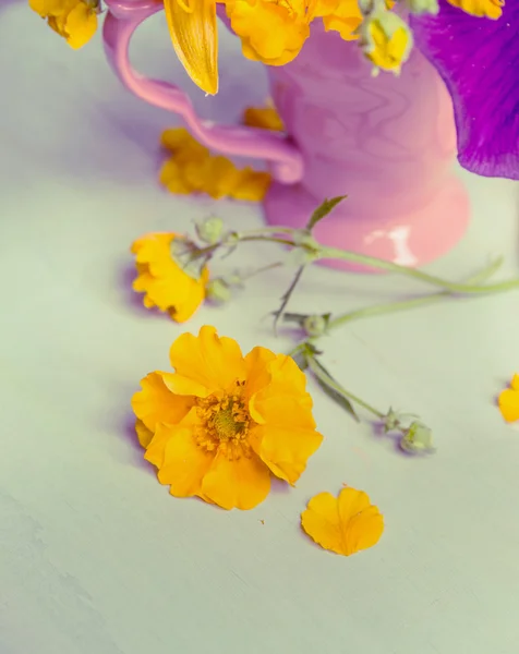 Gula trädgårdsblommor — Stockfoto