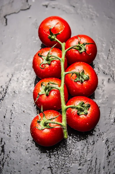 Rama de tomates con gotas de agua — Foto de Stock