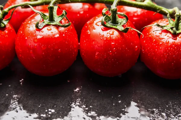 Tomates húmedos rojos maduros — Foto de Stock