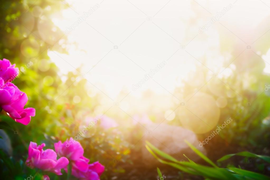 Blurred garden or park background Stock Photo by ©Vfotografie 108426152