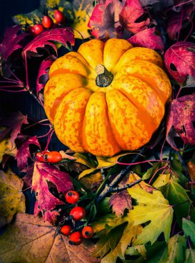 Sonbahar yaprakları üzerinde kabak