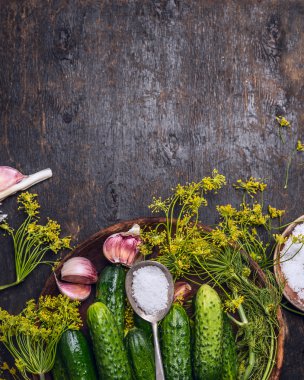 taze organik salatalık