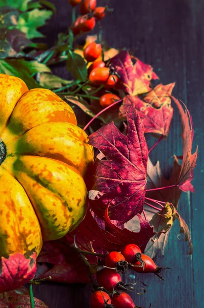 Dýně na podzimní listí — Stock fotografie