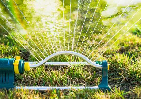 Sprinkler in summer garden — Stock Photo, Image