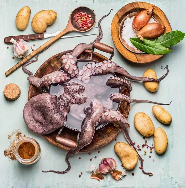 Raw octopus in pan — Stock Photo, Image