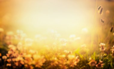 bulanık doğa arka plan