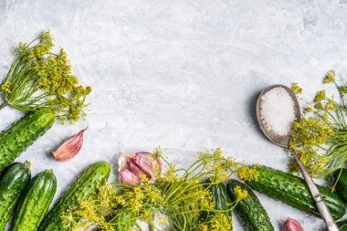 taze organik salatalık