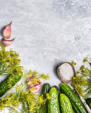 taze organik salatalık