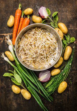 Fasulye filizi ile kase