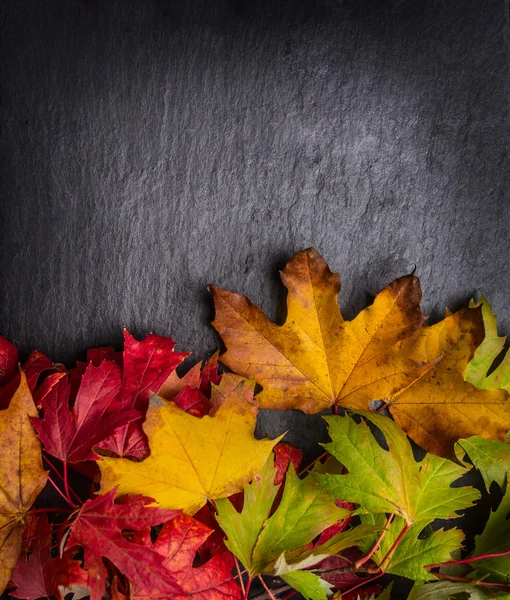 Achtergrond met kleurrijke Herfstbladeren — Stockfoto