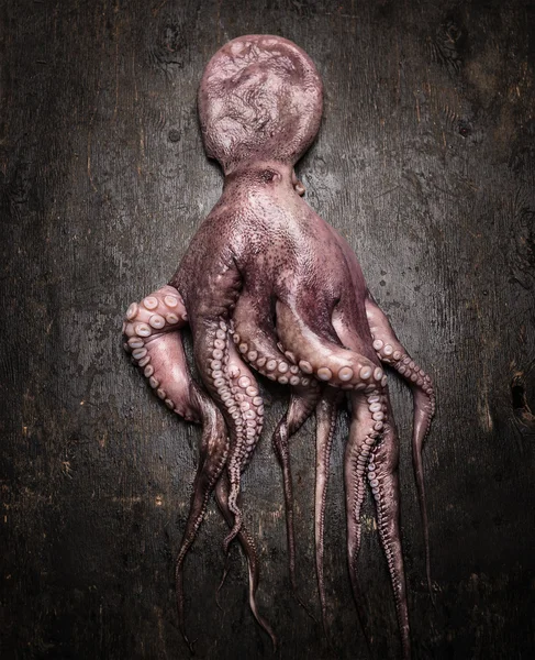 Roher Oktopus auf Holzgrund — Stockfoto