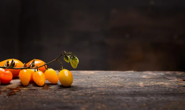 Rama de tomates amarillos — Foto de Stock