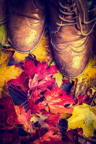 Старе взуття на осінньому листі — стокове фото