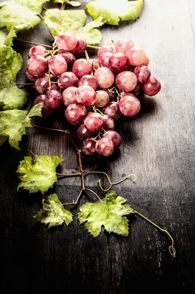 Ramo de uvas con hojas — Foto de Stock