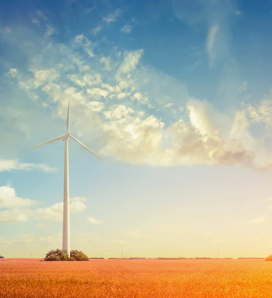 Générateur éolien sur le terrain — Photo