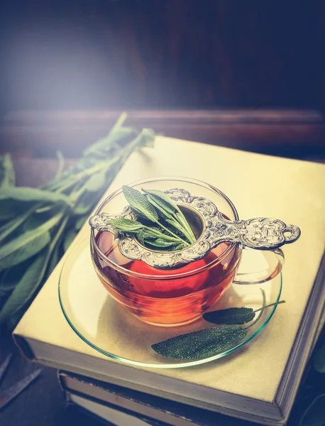 Taza de té de salvia de hierbas — Foto de Stock