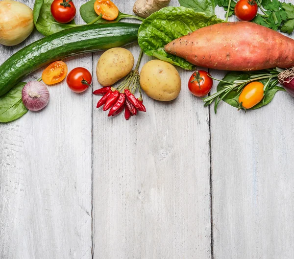 Produtos hortícolas frescos da exploração biológica — Fotografia de Stock