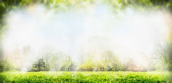 Sfondo Sprig natura — Foto Stock