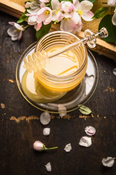 Honig mit Glasdipper — Stockfoto