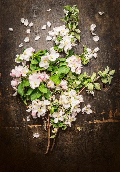 Bunch of fruit trees flowers — Stock Photo, Image