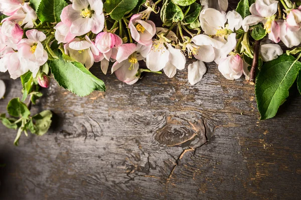 Bunch of fruit trees flowers — Stock Photo, Image