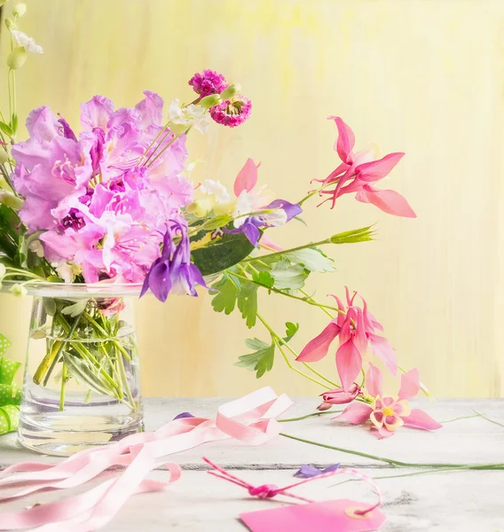 콜 럼 바인 꽃 봄 — 스톡 사진